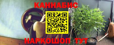 мдпв Татарск