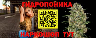 мдпв Татарск