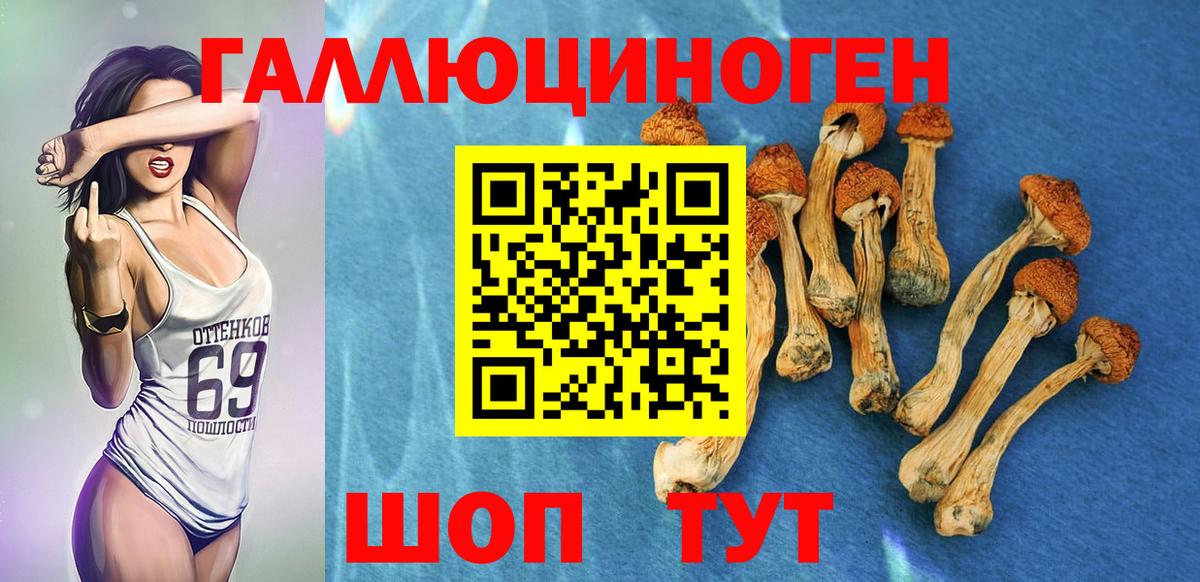 Галлюциногенные грибы MAGIC MUSHROOMS Осинники
