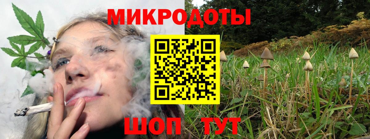Осинники  Галлюциногенные грибы ЛСД  Псилоцибиновые грибы ЛСД  Вход с VPN 